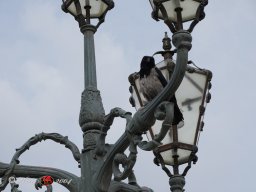  Schönbrunn am 22. 03. 2024